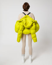 Load image into Gallery viewer, PUFFER JACKET- DON'T LET IT BUG YOU