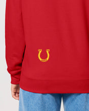 Load image into Gallery viewer, HORSE - Yee Haw! - Embroidered UNISEX hoodie
